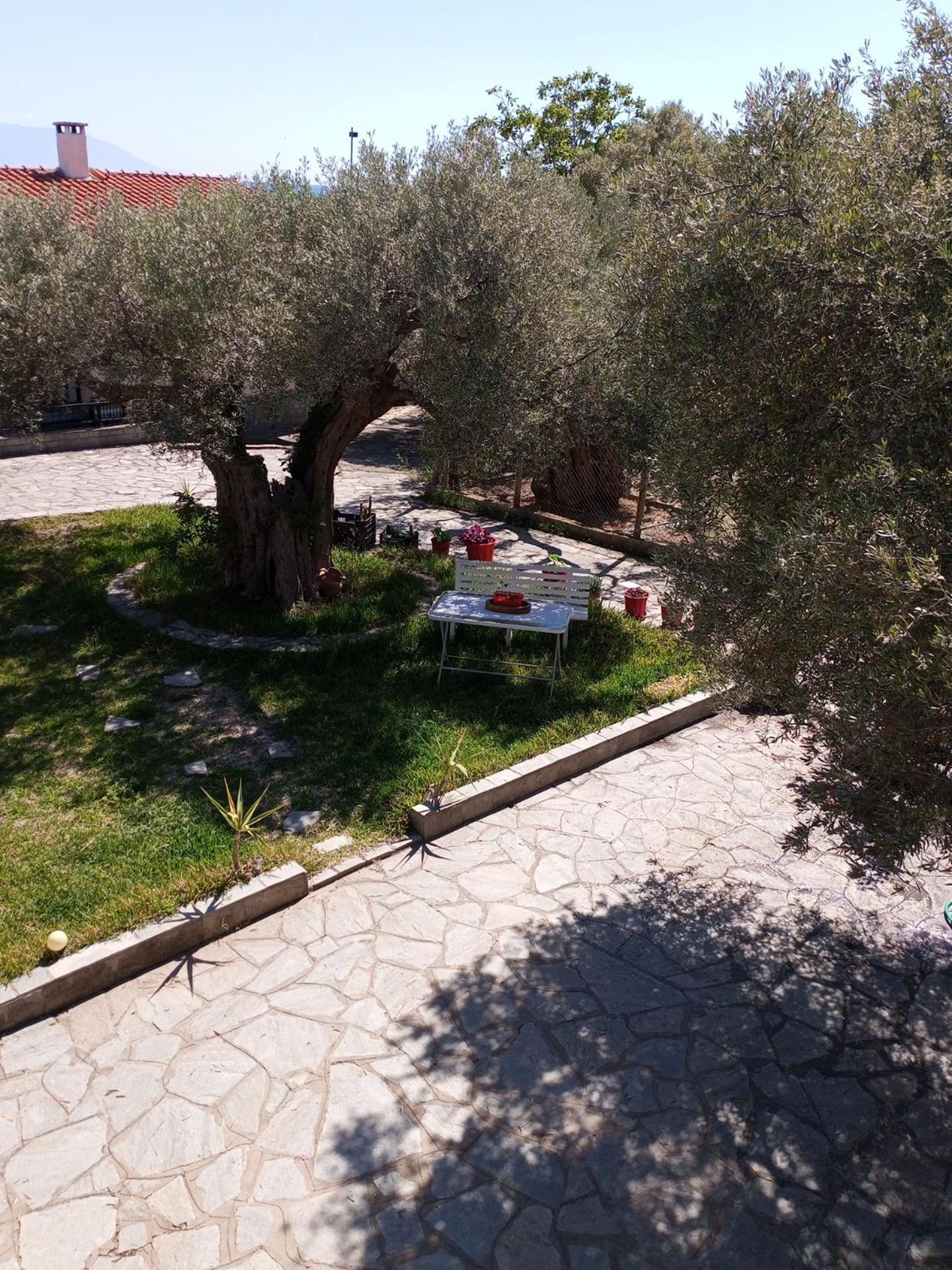 Villa Asimidou Ajía Paraszkeví Kültér fotó